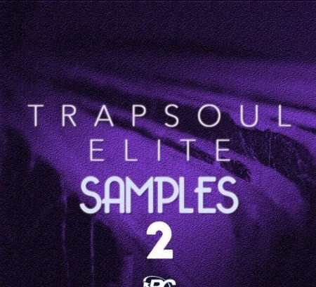 Big Citi Loops Trapsoul Elite Samples 2 WAV